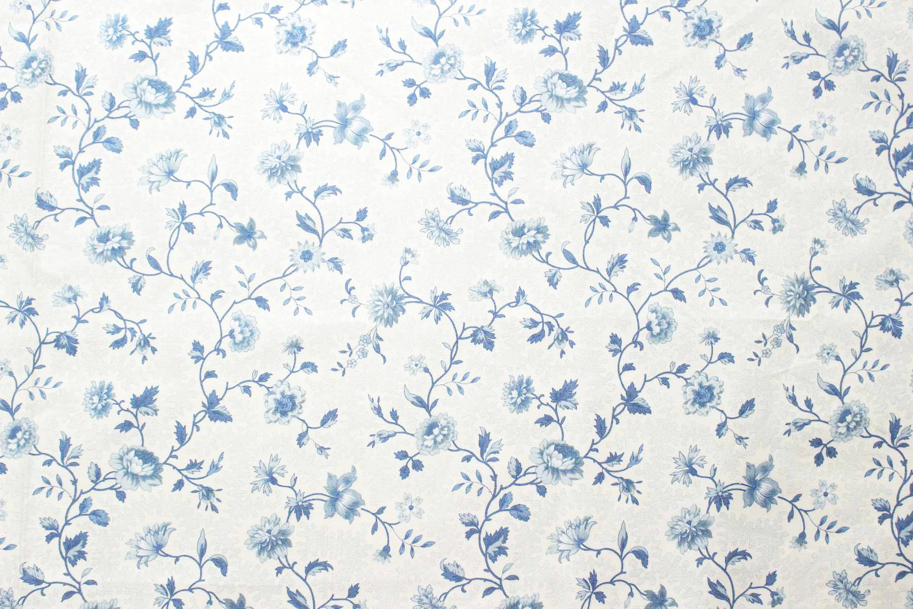 Jpi　Bleu De France　Montespan<br />パ-ル